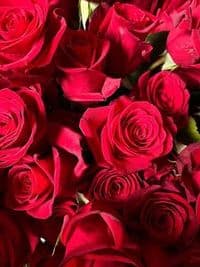 Blumen Kuhn Floraldesign GmbH