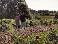 Herzensangelegenheiten Alltagsbegleitung