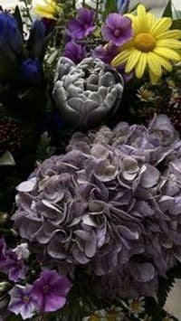 Erfurter Blumen GmbH