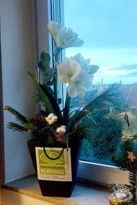 BlumenCompany Kersting