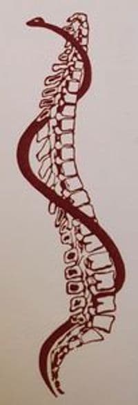 Kurt Fraeyman - Praxis für Physiotherapie