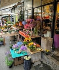 Bosch Gertraud Blumen