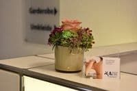 Physio Aktiv Jörg Jacubeck