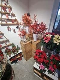 Blumen Schlegel Floristik + Gärtnerei e.K.