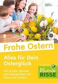 Blumen Risse Blumenladen Köln