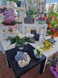 Blumenhaus Monika Demant