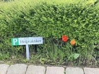 Naturheilpraxis Kerstin Stüber