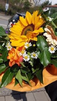 Blumen Bunt gemischt