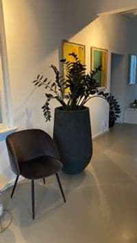 Petra Poeschmann Immobilienmakler Ingolstadt