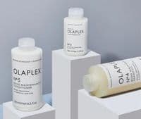 Abschnittsgefährten–Friseur UG