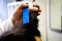 MEMO´s Haarstudio | Friseur Krefeld