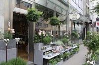 Das Blumenhaus, Friso Siliakus