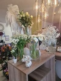 Alice im Blumenland GmbH