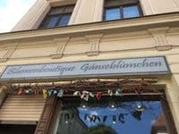 Blumen Boutique Gänseblümchen