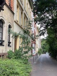 Mainzer Naturheilpraxis für Frauen & Kinder / Simin Hekmati, Heilpraktikerin