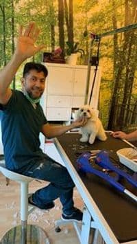 Pico bello hundepension und friseur