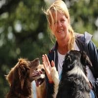 Hundeschule Simply Clever Dogs