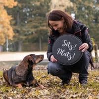 Hundeschule Tierschutzpfoten