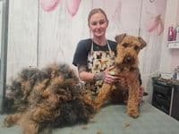 Hundesalon Lilly