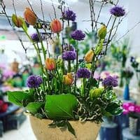 Blütenparadies Ünlü