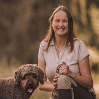 Hundetraining Pfotenglück