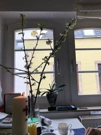 Veedelshelfer - Deine Alltagshelfer in Köln & Umgebung