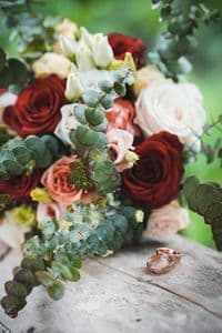 Blumen- und Pflanzenhaus Gärtner