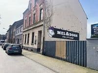 Mel and Dogs Fellpflege