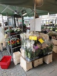 Blumenstand an der Münsterkirche I Innenstadt Essen