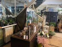 Blumen F.U.S.S. GmbH und Co.KG