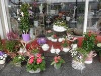 Blumenhaus Carle
