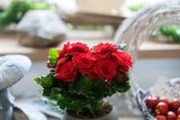 Blumen Rosige Zeiten Inh. Jennifer Steinert