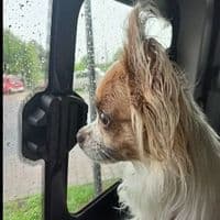 Hausmeisterservice Kunze 