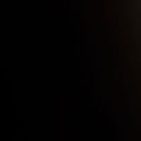 Entrümpelung & Umzug