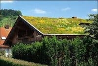 Seibel Bedachung GmbH