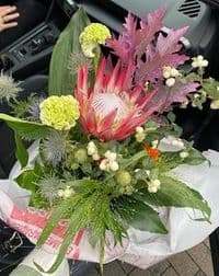 Blumenparadies Bausch Wuppertal