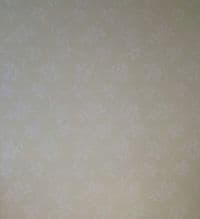 KETTLERphysio & KETTLERhypoxie - Praxis für Physiotherapie