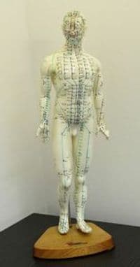 Naturheilpraxis Höer