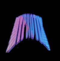 HYPNØTIX.tvk