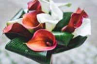 Blumen-Heller München