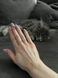 Ani Hakobyan Nail & Beauty