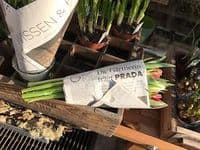 Silke Schierholz Floristmeisterin