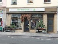 blumen box bilk