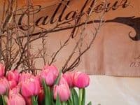 Call a Fleur Floristic e.K. Blumenladen Berlin Prenzlauer Berg