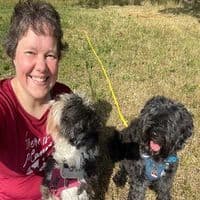 Hundeschule Schnüffelnase