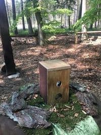 Trauerhafen - Andere Bestattungen