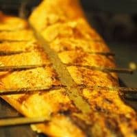 LCE Gastro