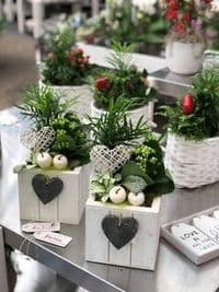 Blumen Bruno Mankopf