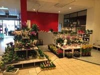 Blumen Gebrüder Spangenberg KG