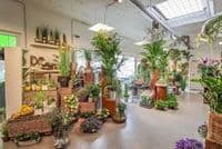 Carpe Diem Floristik e.K. Inh. Dirk Wirths - Wuppertal